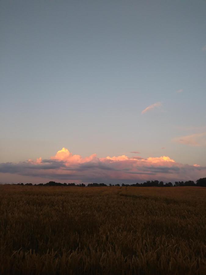 Appartamento Miejsce Mocy Mazury Kolno  Esterno foto