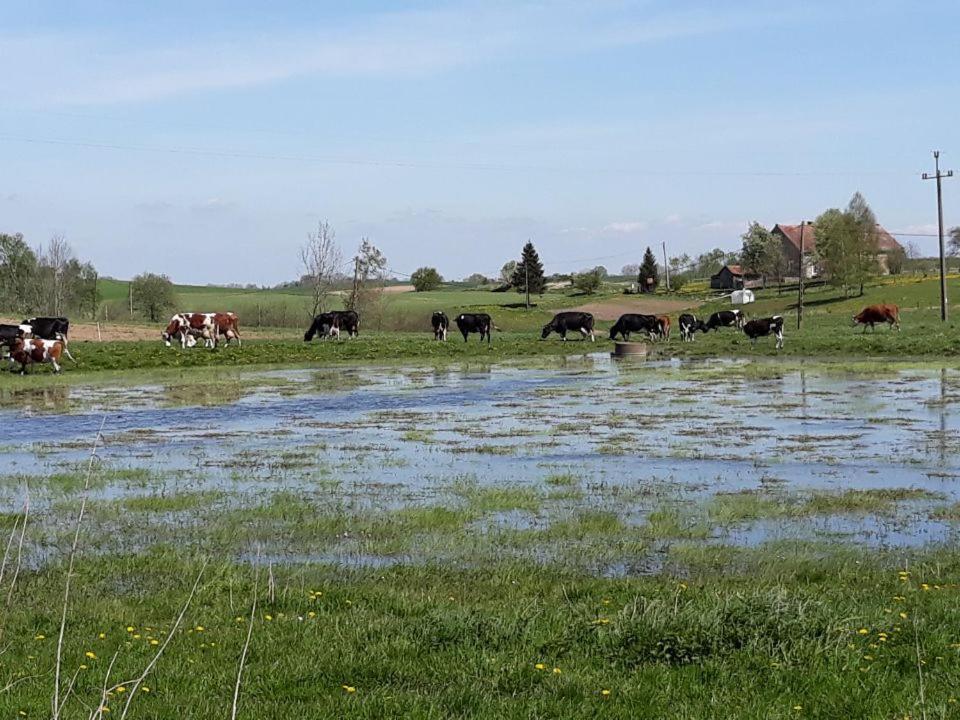 Appartamento Miejsce Mocy Mazury Kolno  Esterno foto