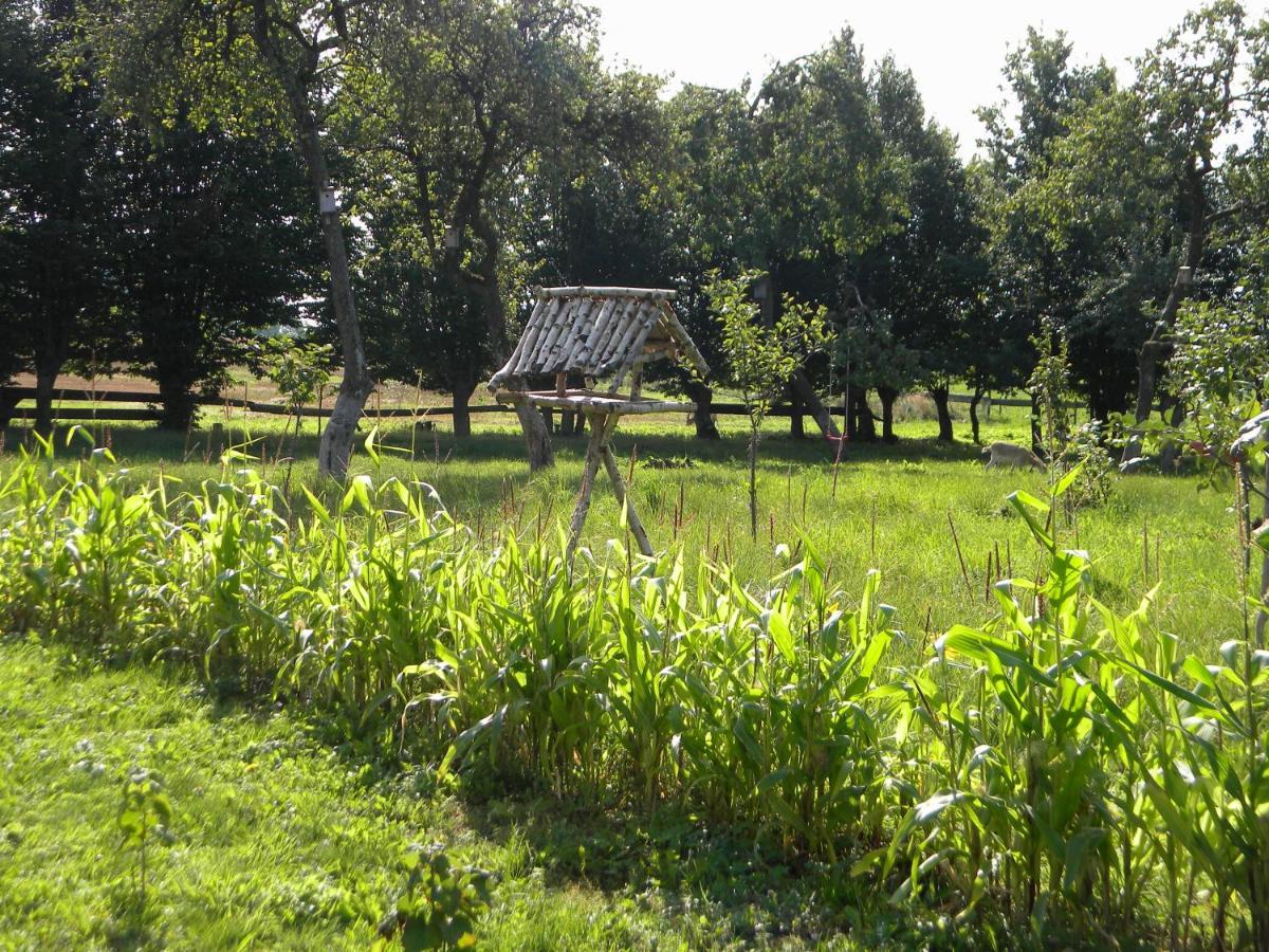 Appartamento Miejsce Mocy Mazury Kolno  Esterno foto