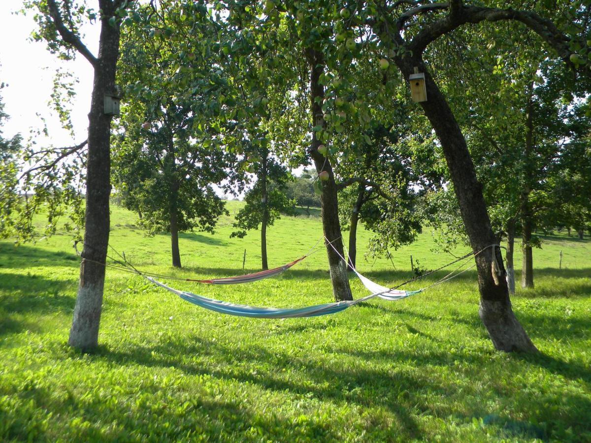 Appartamento Miejsce Mocy Mazury Kolno  Esterno foto