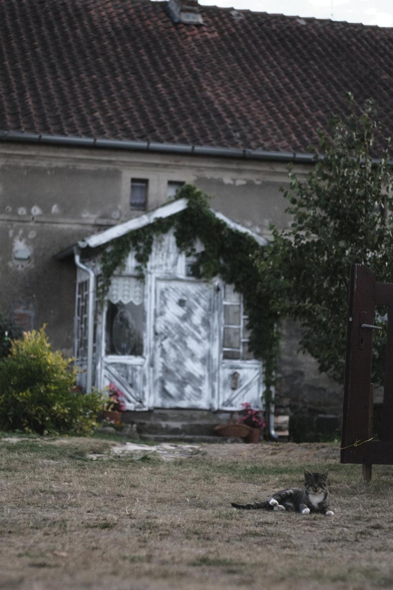 Appartamento Miejsce Mocy Mazury Kolno  Esterno foto